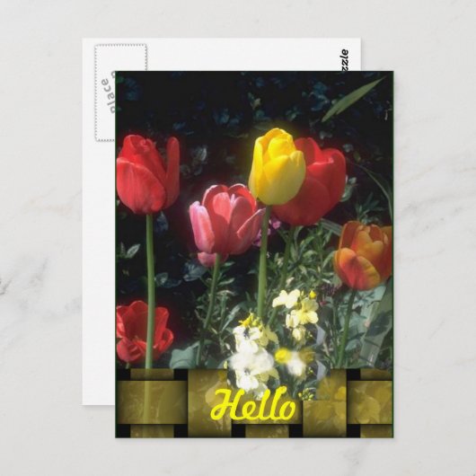 Hallo Kaarten (Voorkant / Achterkant)