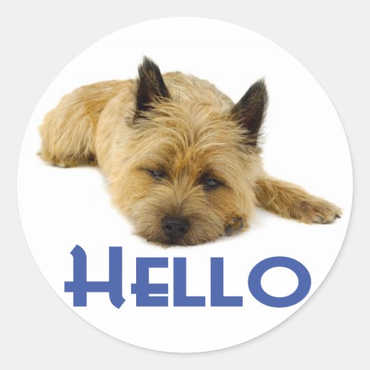 hallo Kairn Terrier Puppy Dog Greeting Stickers (Voorkant)