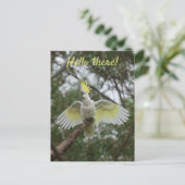 Hallo Kaketoe Papegaai Vogel Open Vleugels Persona Briefkaart (Staand voorkant)