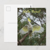 Hallo Kaketoe Papegaai Vogel Open Vleugels Persona Briefkaart (Voorkant / Achterkant)
