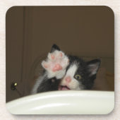 "Hallo Kitten!" onderzetters (Voorkant)