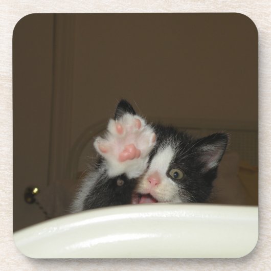 "Hallo Kitten!" onderzetters (Voorkant)