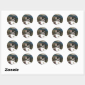 Hallo Kitten Ronde Sticker (Vel)