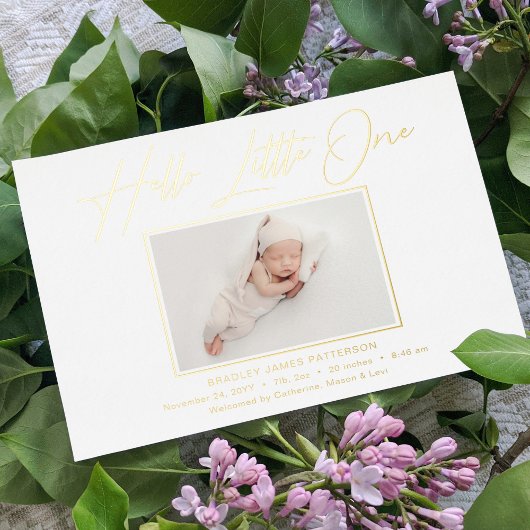 hallo kleine elegant Script Photo Birth Folie Feestdagenkaart