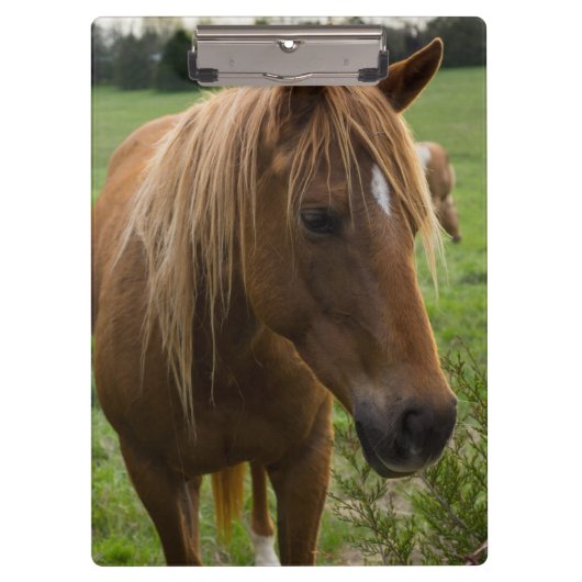 Hallo Klembord (Voorkant)