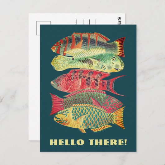  Hallo kleurrijke barrière rif vis Briefkaart (Voorkant / Achterkant)