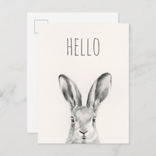 Hallo Konijnenpotloodtekening - Briefkaart (Voorkant / Achterkant)