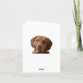 hallo Labrador Retriever Puppy Dog Note Card Kaart (Achterkant)