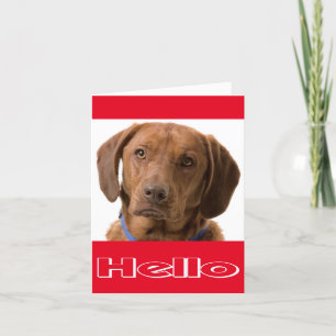 Hallo Labrador Retriever Puppy Dog Note Kaart