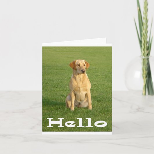 Hallo Labrador Retriever Puppy Dogs Note Kaart (Voorkant)