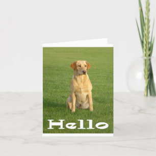 Hallo Labrador Retriever Puppy Dogs Note Kaart