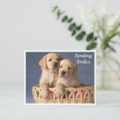 Hallo Labrador Retriever Puppy Post Card Briefkaart (Staand voorkant)