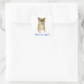 Hallo Lange Haired Chihuahua Puppy Dog Sticker (Tas)