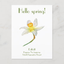 Hallo lente daffodil met betekenis Briefkaart