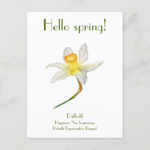 Hallo lente daffodil met betekenis Briefkaart