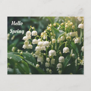 Hallo Lente Meibloemen Briefkaart