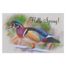 hallo Lente met Wood Duck