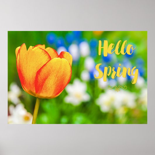 hallo Lente! Poster (Voorkant)