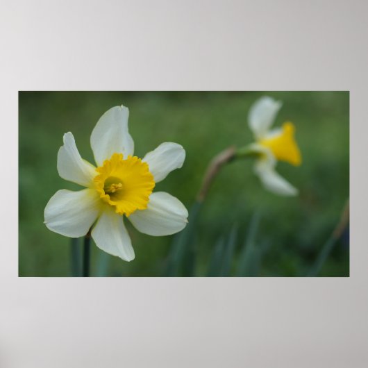 hallo Lente! Poster (Voorkant)