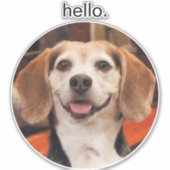 Hallo Leuk je eigen huisdier foto Sticker (Voorkant)