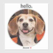 Hallo Leuk je eigen huisdier foto Sticker (Vel)