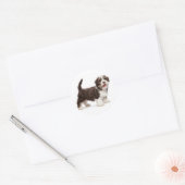 Hallo Liefs Havanese Chocolade Bruin Puppy Dog Ronde Sticker (Envelop)