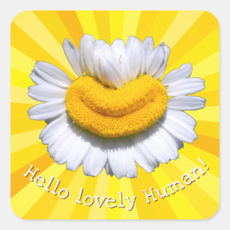 "Hallo lieve Mens!" Kamille Glimlach Zonneschijn Vierkante Sticker