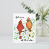 Hallo Lijst van kardinalen van North Carolina Briefkaart (Staand voorkant)