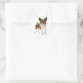 Hallo Love Papillon Puppy Dog, Denken aan jou Ronde Sticker (Tas)
