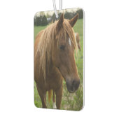 Hallo Luchtverfrisser (Links)