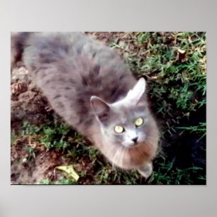 hallo mag je me horen? poster