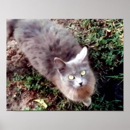 hallo mag je me horen? poster (Voorkant)