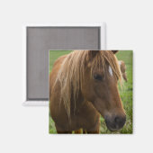 Hallo Magneet (Voorkant / Achterkant)
