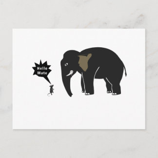 hallo Mate! Briefkaart