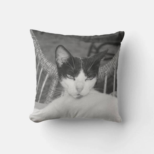 Hallo Meow... Kussen (Voorkant)