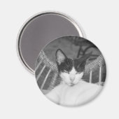 Hallo Meow... Magneet (Voorkant / Achterkant)