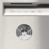 Hallo Meow... Magneet (Insitu (Vaatwasser))