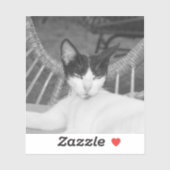 Hallo Meow... Sticker (Vel)