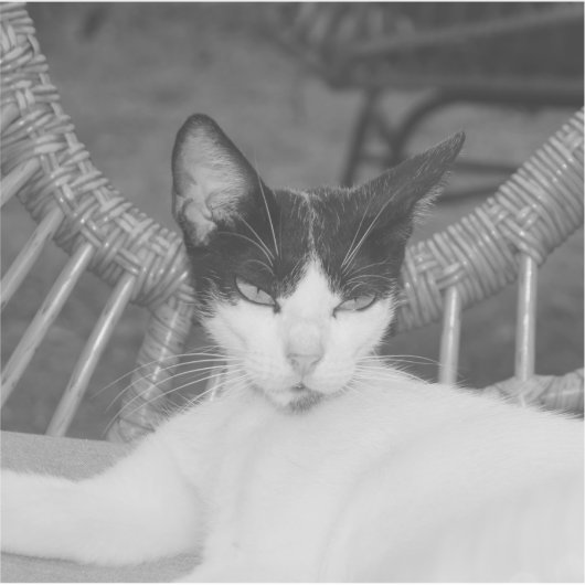 Hallo Meow... Sticker (Voorkant)