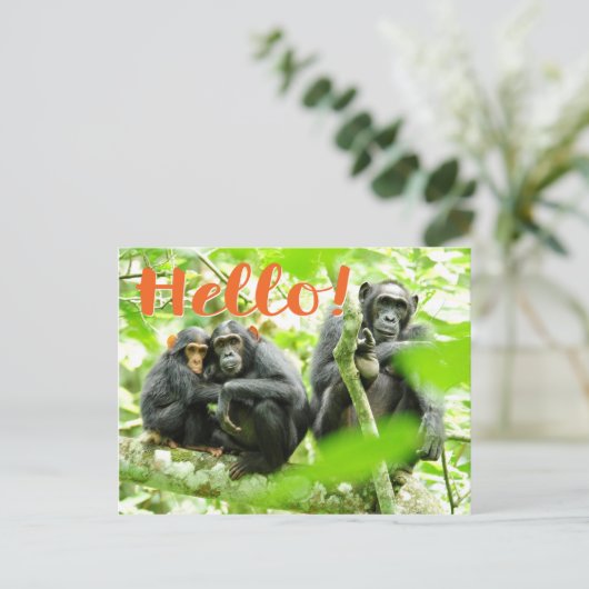 Hallo Met chimpansees Briefkaart (Staand voorkant)
