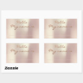 hallo Mijn naam is het Roos van de Klasse van de F Rechthoekige Sticker (Vel)