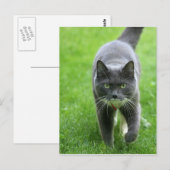 hallo, mijn naam is Miki Briefkaart (Voorkant / Achterkant)