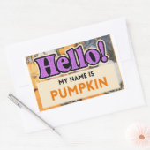 Hallo Mijn naam is Pumpkin Herfst Sticker (Envelop)
