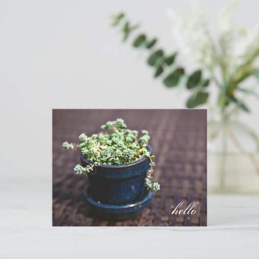 Hallo Mini Succulents Briefkaart (Staand voorkant)