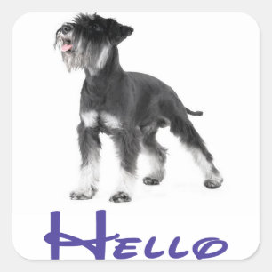 Hallo Miniatuur Schnauzer Puppies Hond Sticker