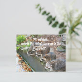 Hallo Mirror die de Schattigee wasbeer is Briefkaart (Staand voorkant)