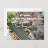 Hallo Mirror die de Schattigee wasbeer is Briefkaart (Voorkant / Achterkant)