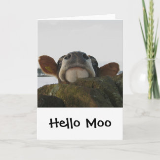 Hallo Moo Kaart
