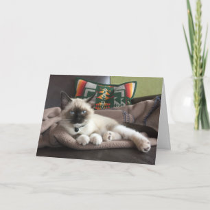 Hallo Mooie Siamese Kitten Ik Denk Aan Jou Kaart