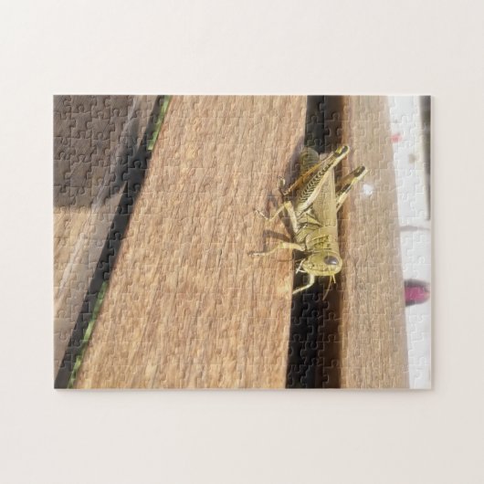 hallo Mr Grasshopper! Legpuzzel (Horizontaal)